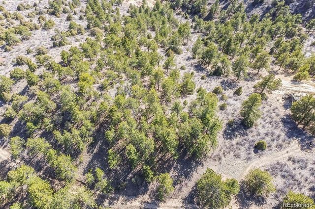 Wild Wagoner Tr, Dumont, CO 80452