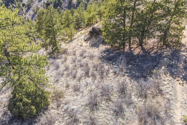 Wild Wagoner Tr, Dumont, CO 80452