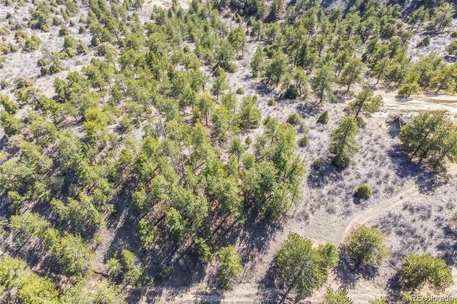 Wild Wagoner Tr, Dumont, CO 80452