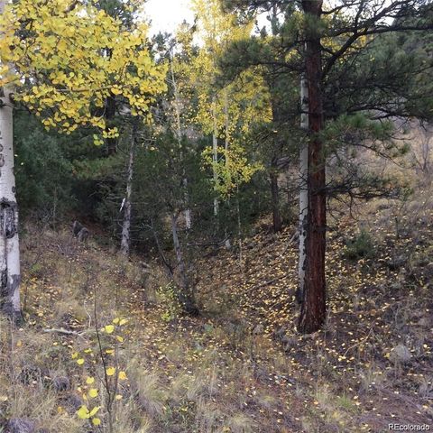 Wild Wagoner Tr, Dumont, CO 80452