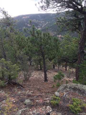 Wild Wagoner Tr, Dumont, CO 80452