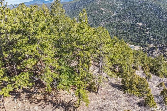 Wild Wagoner Tr, Dumont, CO 80452
