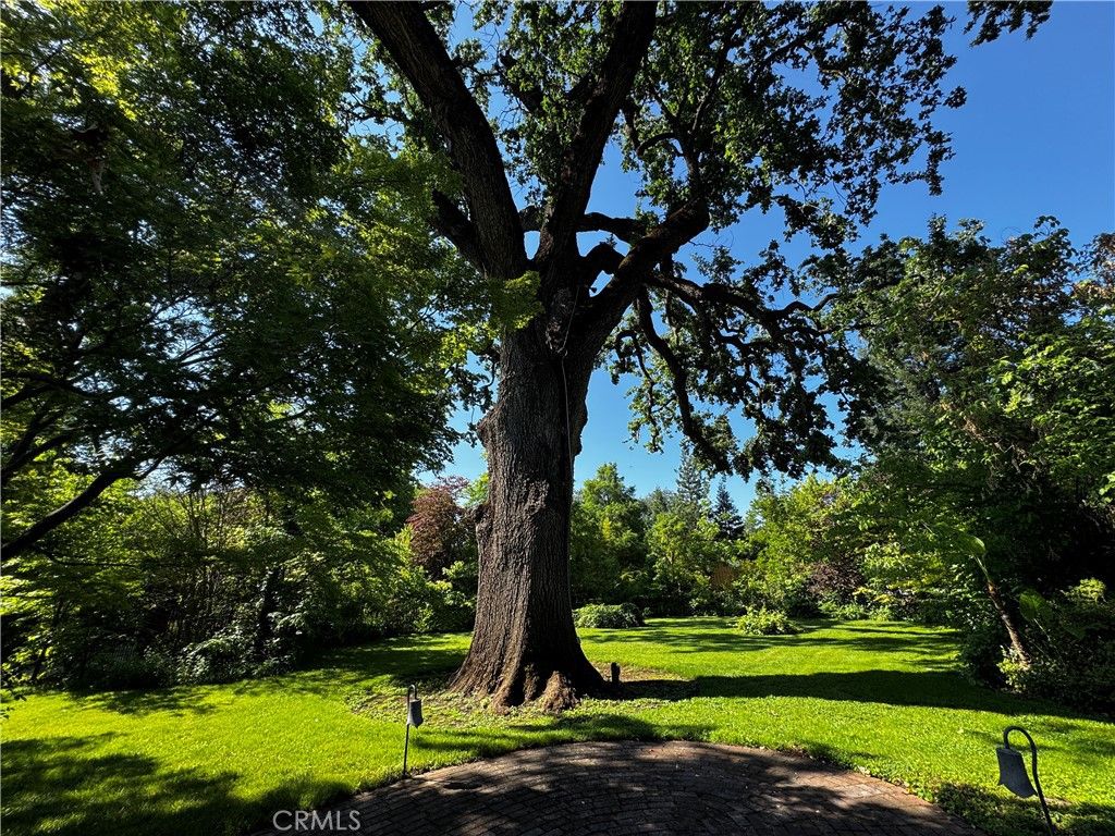 Image 37 of property listing at 622 Paseo Companeros, Chico, CA 95928