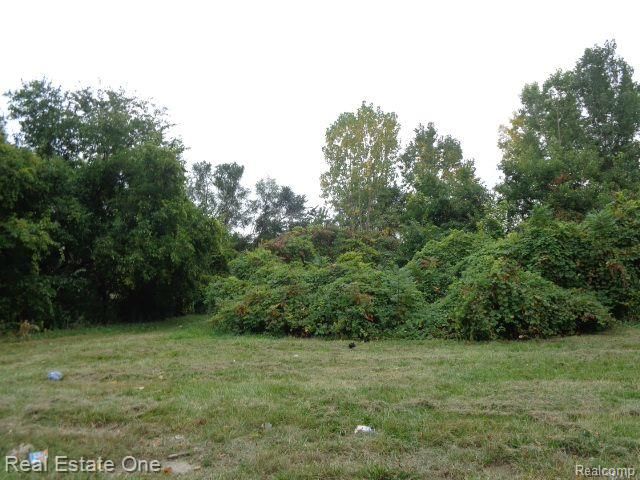 2628 Hunt Street, Detroit, MI 48207