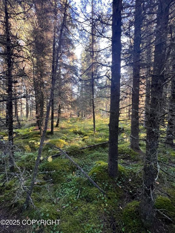 L7 Shegota Loop, Ninilchik, AK 99639