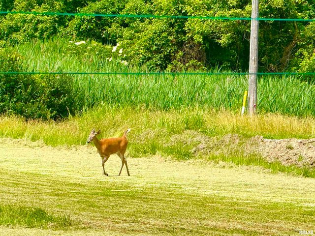 401 S 7TH Street, Herrin, IL 62948