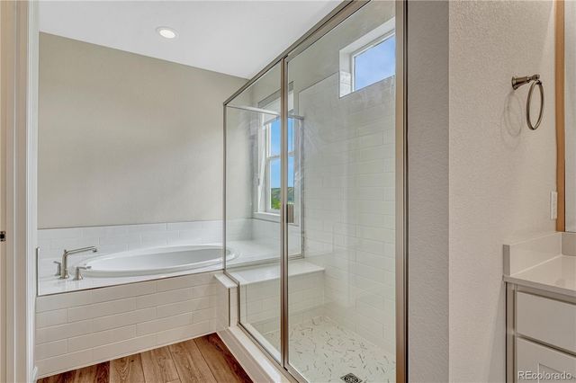 4121 River Oaks Street, Castle Rock, CO 80104