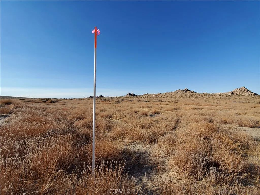 2 Near 150th, Palmdale, CA 93591