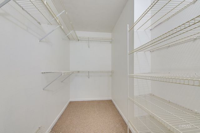 337 N Carter Street 101, Palatine, IL 60067