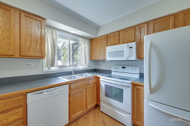 337 N Carter Street 101, Palatine, IL 60067