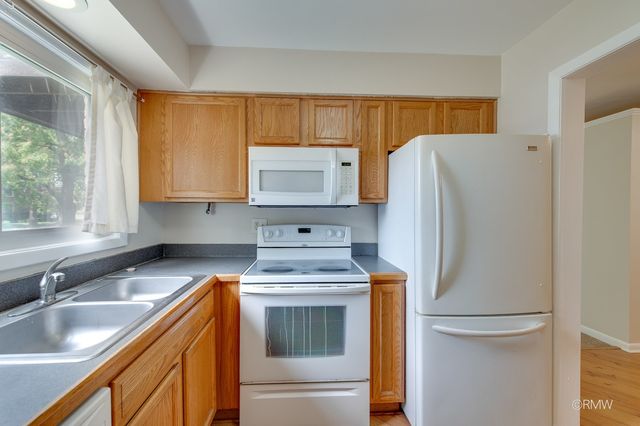 337 N Carter Street 101, Palatine, IL 60067