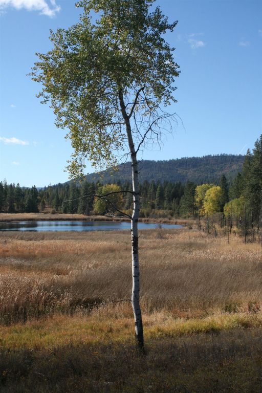 3673 Little Sweden Rd, Valley, WA 99181 photo 12