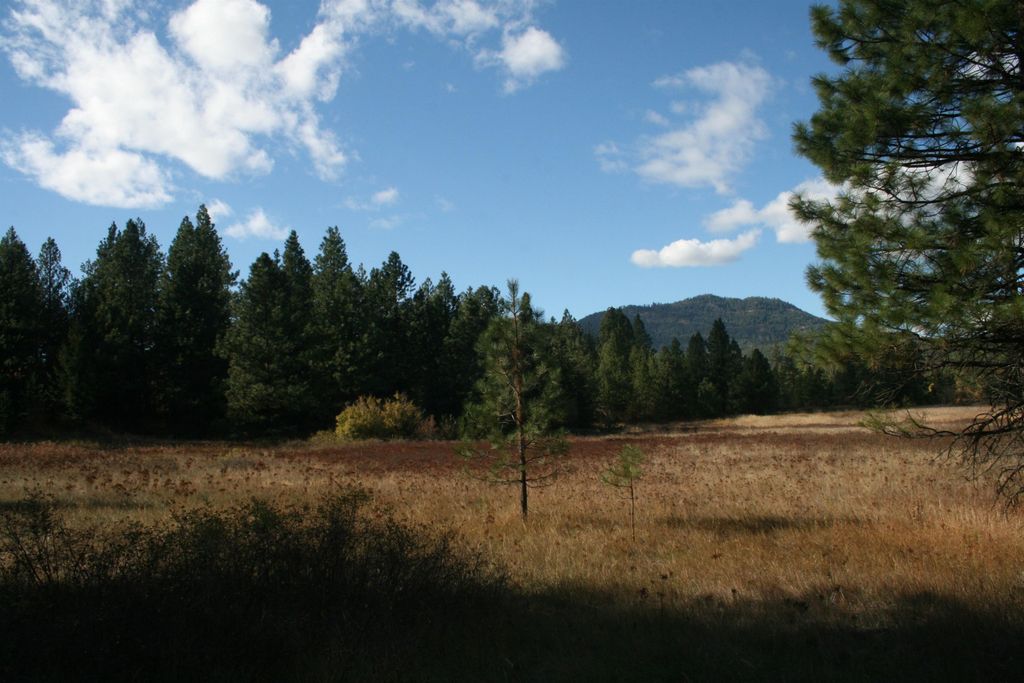 3673 Little Sweden Rd, Valley, WA 99181 photo 13