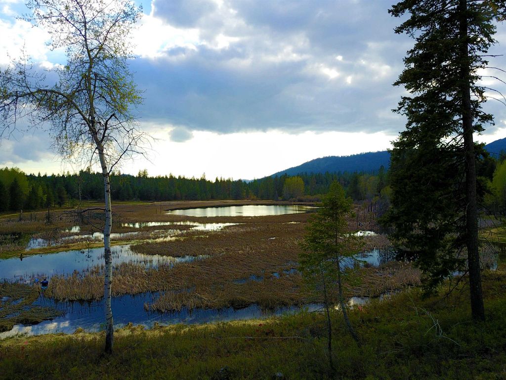 3673 Little Sweden Rd, Valley, WA 99181 photo 4