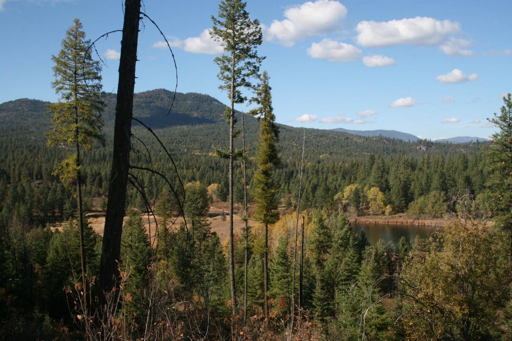 3673 Little Sweden Rd, Valley, WA 99181 photo 5