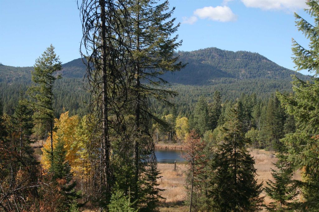 3673 Little Sweden Rd, Valley, WA 99181 photo 7