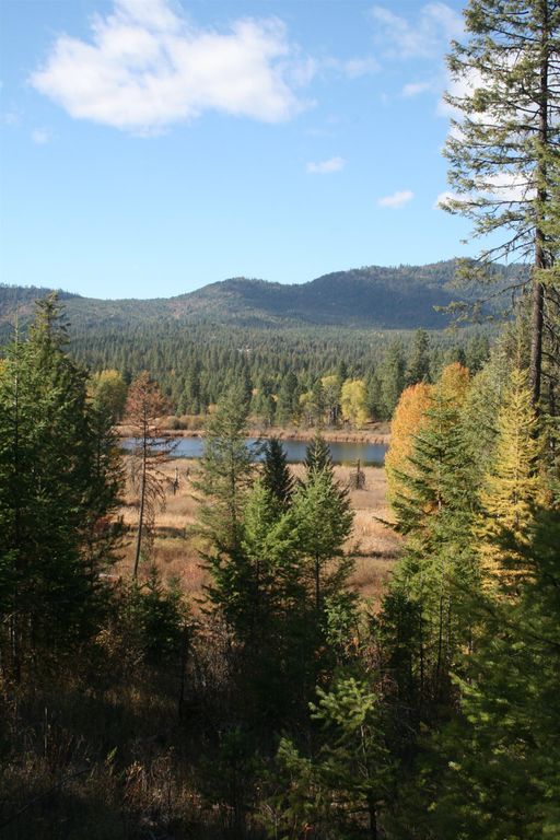 3673 Little Sweden Rd, Valley, WA 99181 photo 8