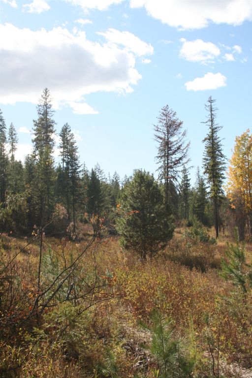 3673 Little Sweden Rd, Valley, WA 99181 photo 9