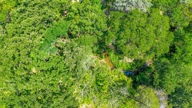 Lot 141 Shenandoah Drive, Streetman, TX 75859