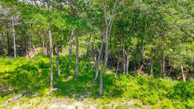 Lot 141 Shenandoah Drive, Streetman, TX 75859