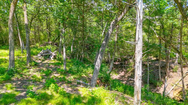 Lot 141 Shenandoah Drive, Streetman, TX 75859