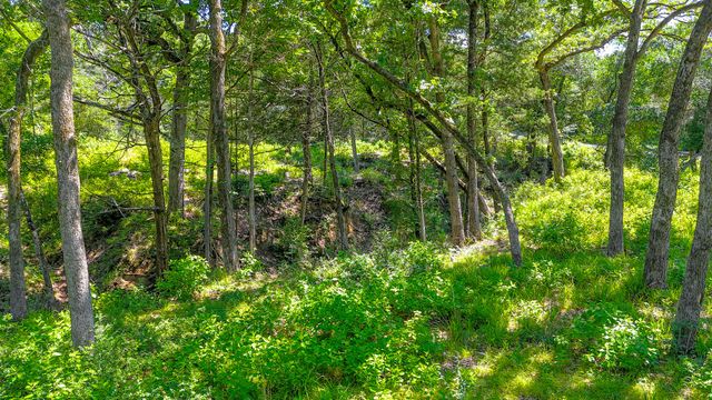 Lot 141 Shenandoah Drive, Streetman, TX 75859