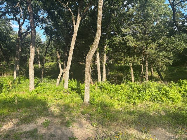 Lot 141 Shenandoah Drive, Streetman, TX 75859