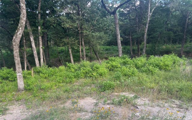 Lot 141 Shenandoah Drive, Streetman, TX 75859