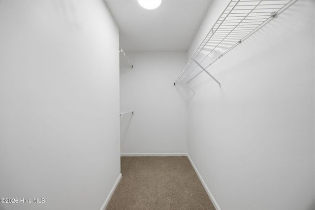 1105 Turtle Creek Road B, Greenville, NC 27858