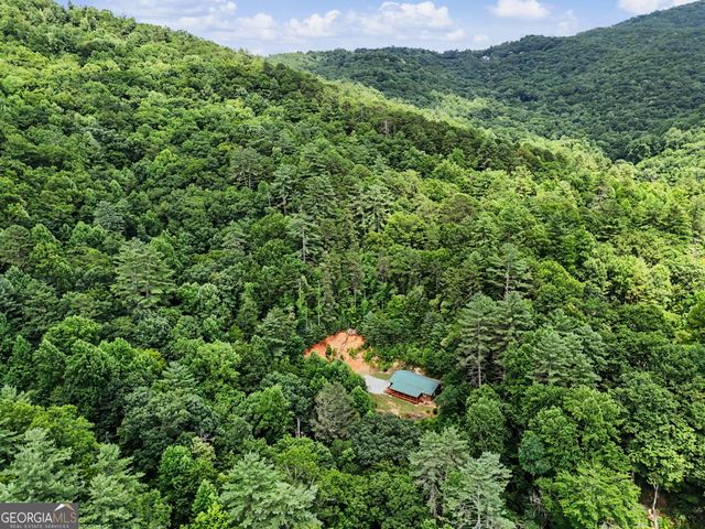 118 Cub Lane, Rabun Gap, GA 30568