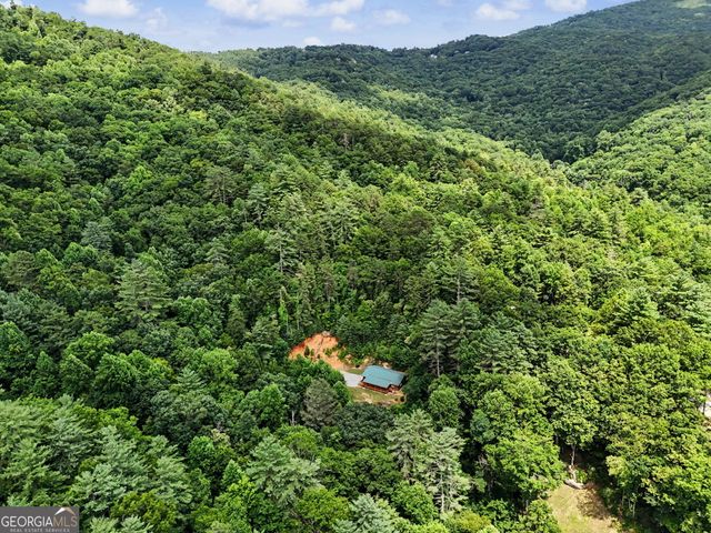 118 Cub Lane, Rabun Gap, GA 30568