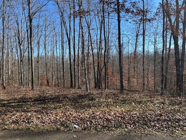 6 Slaughter Rd, Primm Springs, TN 38476