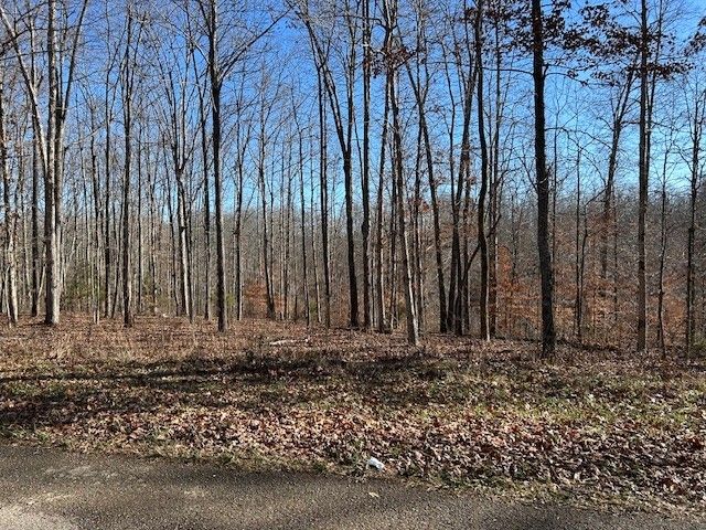 6 Slaughter Rd, Primm Springs, TN 38476