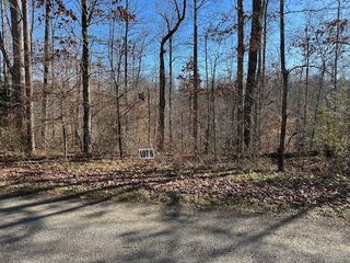 6 Slaughter Rd, Primm Springs, TN 38476