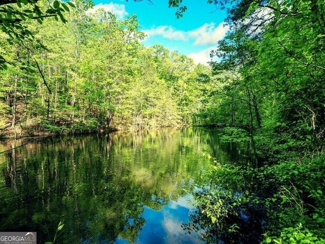 1575 Davis Road W, Fairmount, GA 30139