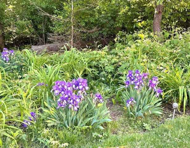 22 Briarfield Road, East Dennis, MA 02641