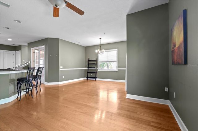 11504 BELLAMAR STREET, Tampa, FL 33637