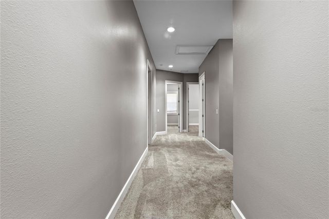 11504 BELLAMAR STREET, Tampa, FL 33637