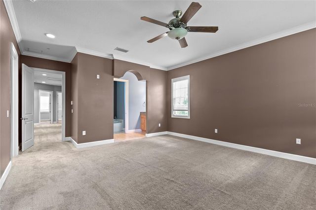 11504 BELLAMAR STREET, Tampa, FL 33637