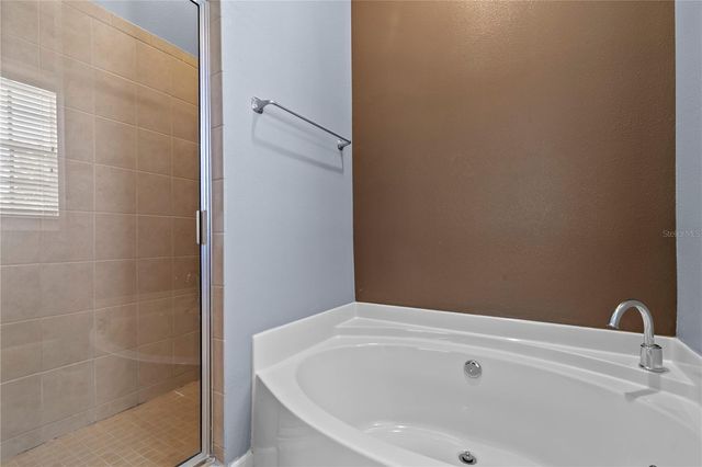 11504 BELLAMAR STREET, Tampa, FL 33637