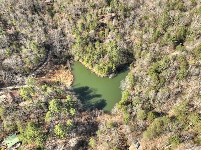 1480 Hidden Lake Drive, Ellijay, GA 30540