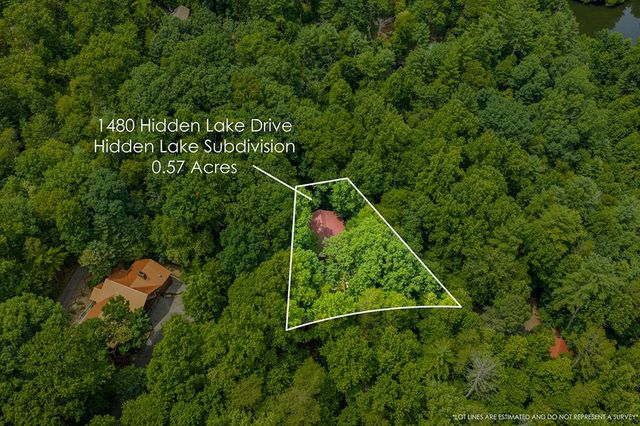 1480 Hidden Lake Drive, Ellijay, GA 30540