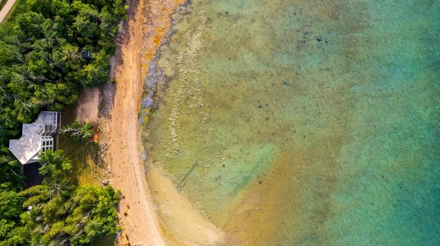 7857 Nine Mile Point Drive, Hayes Twp, MI 49720