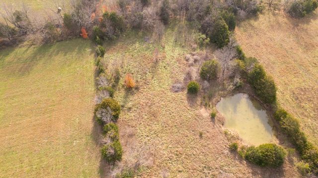 239 Ozark Loop, Conway, MO 65632