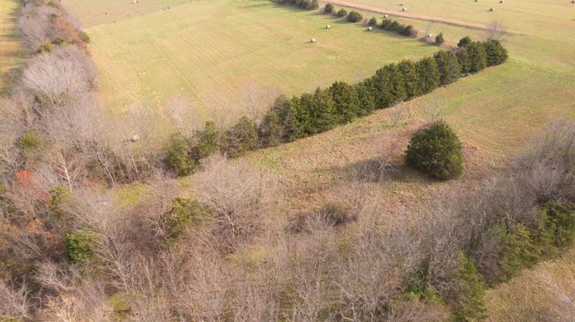 239 Ozark Loop, Conway, MO 65632