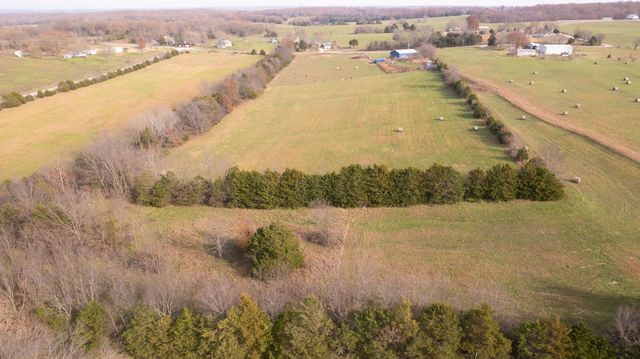 239 Ozark Loop, Conway, MO 65632