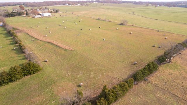 239 Ozark Loop, Conway, MO 65632