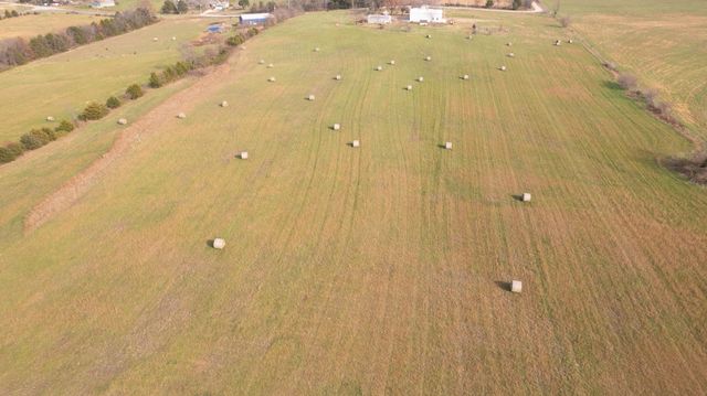 239 Ozark Loop, Conway, MO 65632