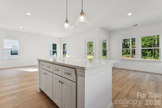 11725 Platon Avenue, Huntersville, NC 28078