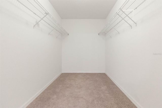 10040 CARLOWAY HILLS DRIVE 10040, Wimauma, FL 33598